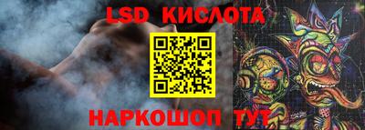шишки Кандалакша