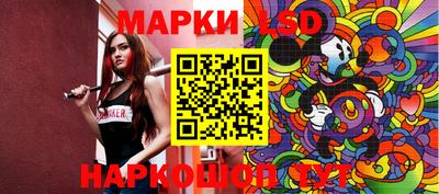 шишки Кандалакша