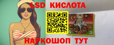 шишки Кандалакша