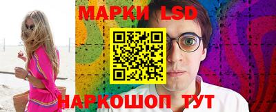 шишки Кандалакша