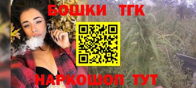 шишки Кандалакша
