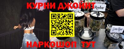шишки Кандалакша