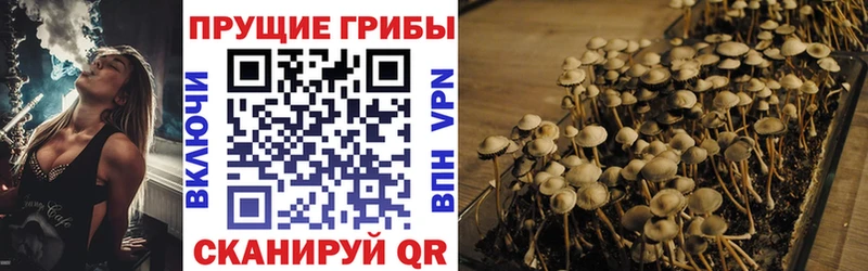 Галлюциногенные грибы GOLDEN TEACHER  где продают наркотики  Нижний Тагил 
