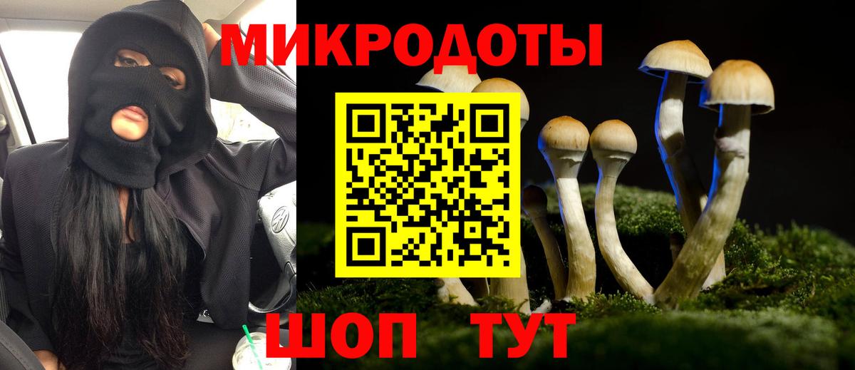 Псилоцибиновые грибы Psilocybe  Вход с VPN  Нижний Тагил 